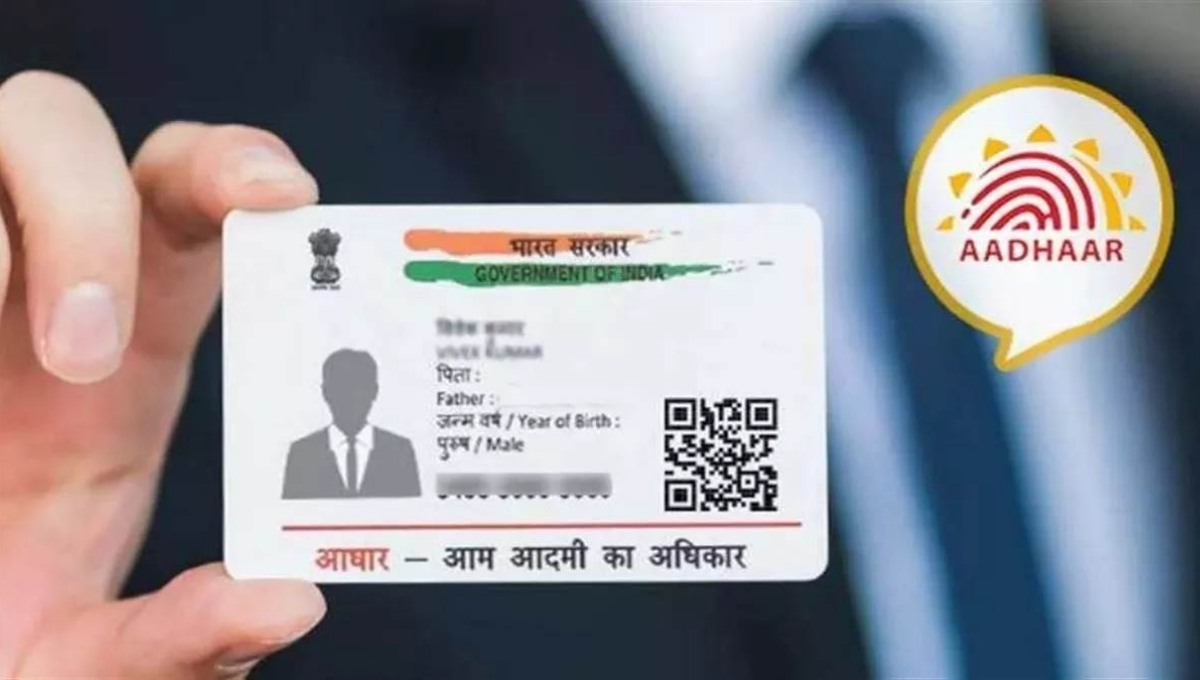 Aadhaar Authentication History Check