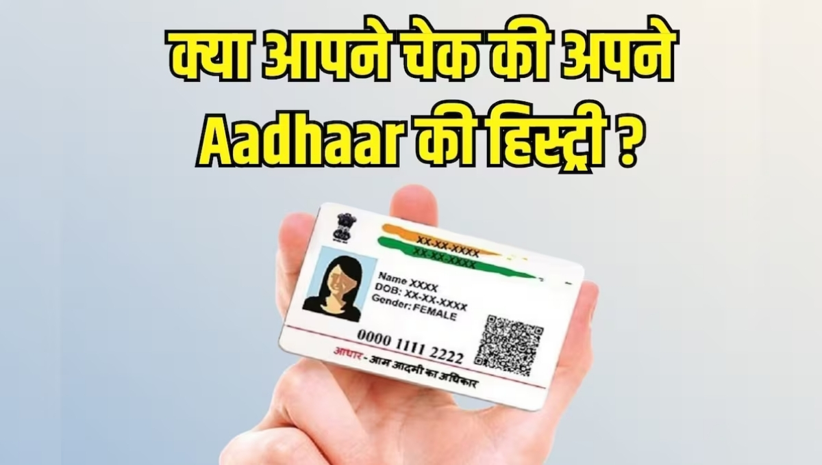 Aadhaar Authentication History Check