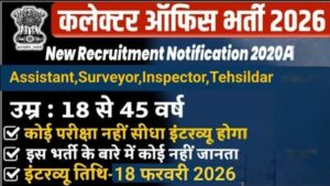 Collector Office Vacancy 2026: बिना परीक्षा सीधी भर्ती, 5वीं से ग्रेजुएट तक मौका